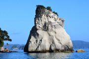 New Zealand - Jan 2015