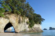 New Zealand - Jan 2015