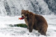 Photographer spends a month travelling round Alaska - Sep 2014