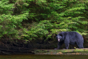 Photographer spends a month travelling round Alaska - Sep 2014