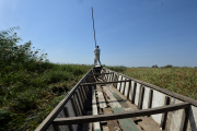 Refugees escape from Boko Haram in Nigeria to Chad, Africa - Feb 2015