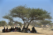 Refugees escape from Boko Haram in Nigeria to Chad, Africa - Feb 2015