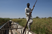Refugees escape from Boko Haram in Nigeria to Chad, Africa - Feb 2015