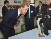 Prince William visit to Shanghai, China - 03 Mar 2015