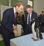 Prince William visit to Shanghai, China - 03 Mar 2015