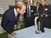 Prince William visit to Shanghai, China - 03 Mar 2015