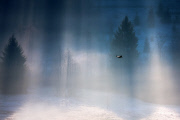 Photographer captures beautiful images of sunrays in Beskidy Mountains, Poland, Feb 2015