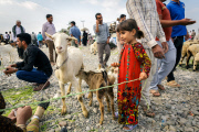 Photographer Brook Mitchell's journey behind Iran's black curtain, Iran, Feb 2015