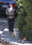 Exclusive... Brigitte Nielsen Takes Her Dogs For A Walk 