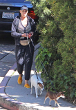Exclusive... Brigitte Nielsen Takes Her Dogs For A Walk 