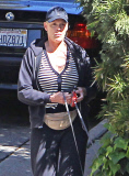 Exclusive... Brigitte Nielsen Takes Her Dogs For A Walk 