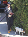 Exclusive... Brigitte Nielsen Takes Her Dogs For A Walk 