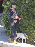 Exclusive... Brigitte Nielsen Takes Her Dogs For A Walk 
