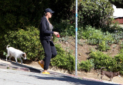 Exclusive... Brigitte Nielsen Takes Her Dogs For A Walk 