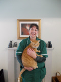 Lincolnshire Trust for Cats is a cat retirement home, Lincolnshire, Britain, Mar 2015
