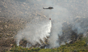 Wildfire in South Africa - 03 Mar 2015