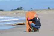 Surfers and volunteers rescue a California sea lion, Moss Landing, California, America - 01 Mar 2015