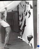 Earl Of Snowdon -- Before Marriage June 1957 Antony Armstrong-jones (26) Arranging Photos At His First Exhibition At The Kodak Studios Kingsway. It Is Of Pigeons In Venice ...royalty 