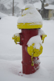 Yet Another Snowstorm Hits Long Island, New York