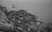 WW 2 March 10 raid over Tokyo kills 100,000