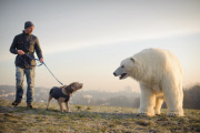 Polar Bear spotted in London to mark the launch of Sky Atlantic's 'Fortitude' series ? London, Britain  - 27 Jan 2015