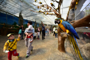 New Parrot Land attraction at Kunming Zoo, China - 21 Mar 2015