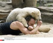 BERLIN: Polar bear Knut
