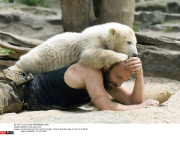 BERLIN: Polar bear Knut