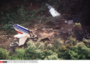 FRA/ UN AIRBUS A320 S'ECRASE LORS D'UN    VOL DE DEMONSTRATION