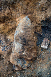 1000lb bomb uncovered on a building site in Bermondsey, London, Britain - 23 Mar 2015
