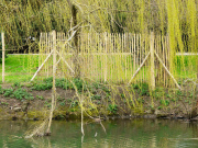 Builders ordered to remove new fencing at home of George Clooney and Amal Alamuddin in Sonning-on-Thames, Berkshire, Britain - 30 Mar 2015