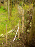 Builders ordered to remove new fencing at home of George Clooney and Amal Alamuddin in Sonning-on-Thames, Berkshire, Britain - 30 Mar 2015