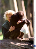 THE HON. PATRICIA CAVENDISH O'NEILL WHO LEFT HER FORTUNE TO CHIMPS, SOUTH AFRICA