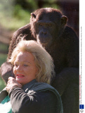 THE HON. PATRICIA CAVENDISH O'NEILL WHO LEFT HER FORTUNE TO CHIMPS, SOUTH AFRICA