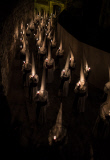 Esater Good Friday procession - 03 Apr 2015