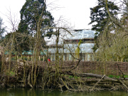 Fencing erected at the home of George Clooney and Amal Alamuddin, Sonning-on-Thames, Berkshire, Britain - 04 Apr 2015