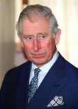The Prince of Wales launches a Rickshaw Race