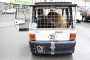 Kurioses Gespann mit großem Hund 