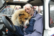 Kurioses Gespann mit großem Hund 