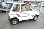 Kurioses Gespann mit großem Hund 