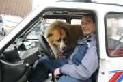 Kurioses Gespann mit großem Hund 