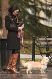 It's a dog-walking day for brunette Vanessa Hudgens in New York