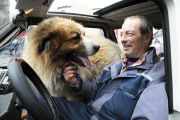 Kurioses Gespann mit großem Hund 