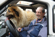 Kurioses Gespann mit großem Hund 