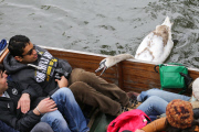Asbaby the swan, grandson of Asbo, attacking punters on River Cam, Cambridge, Britain - 04 Apr 2015
