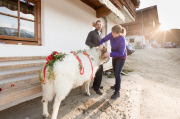 Virgentaler Sacrificial Ram