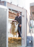 Virgentaler Sacrificial Ram