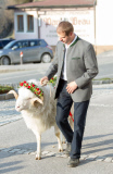 Virgentaler Sacrificial Ram