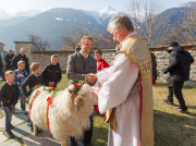 Virgentaler Sacrificial Ram