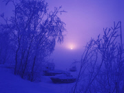Russian Federation. Nature with a blue tint.